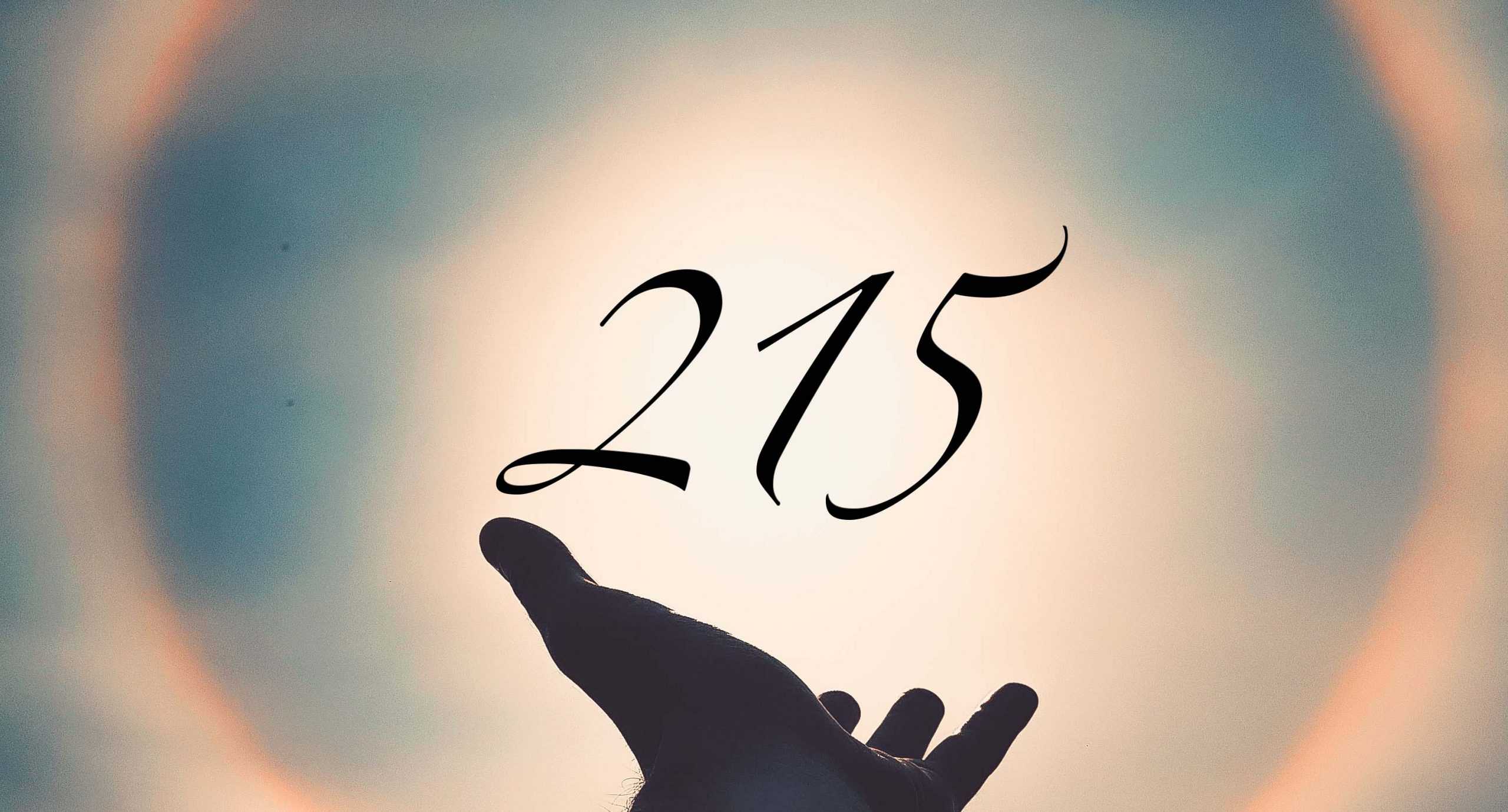 Signification du nombre 215