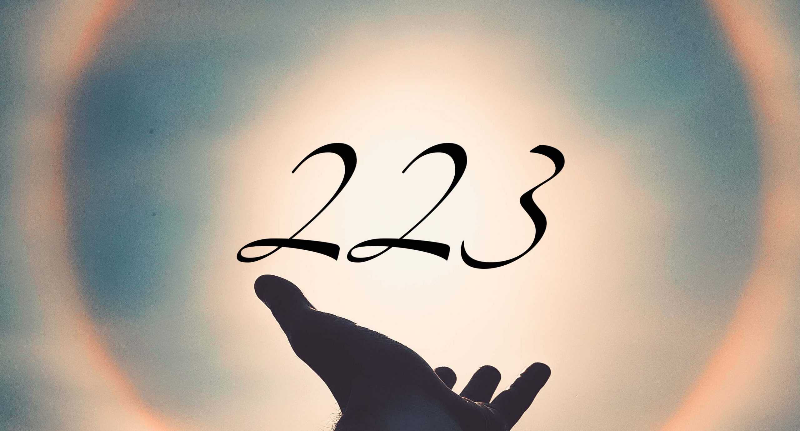 Signification du nombre 223