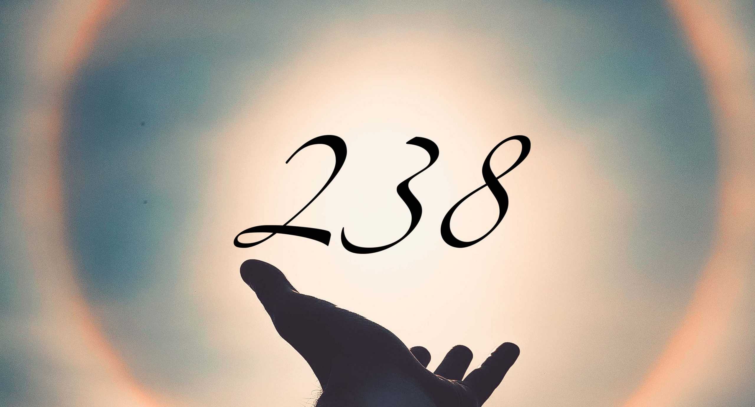 Signification du nombre 238