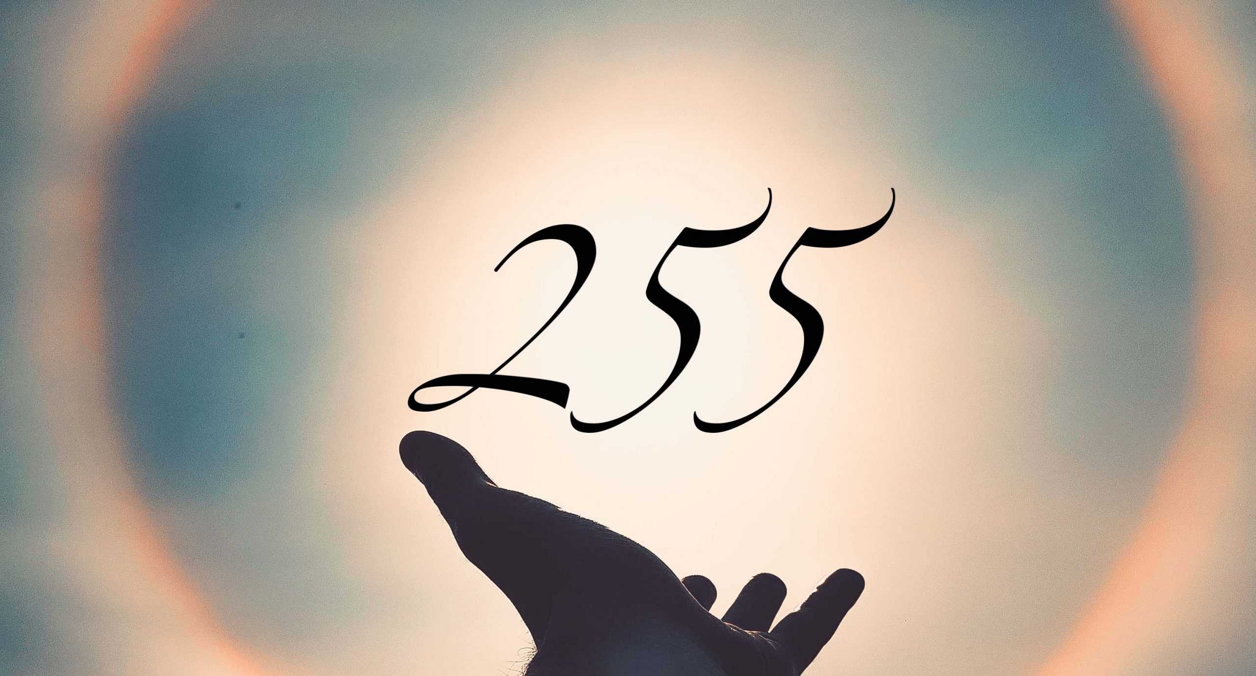 Signification du nombre 255
